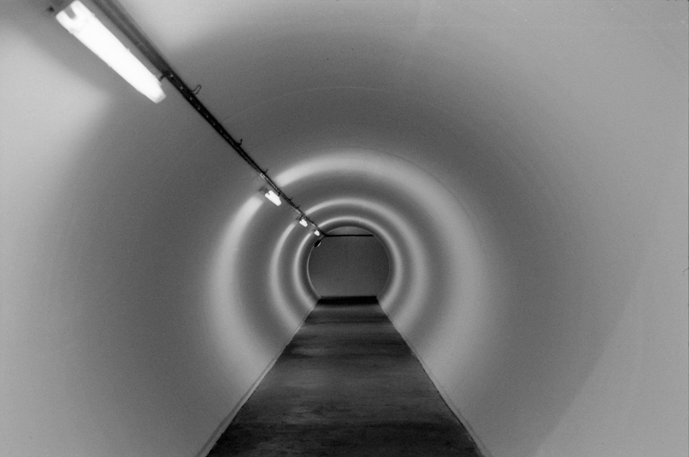 AHP F1994 11 008 sc250521 img09 NLP